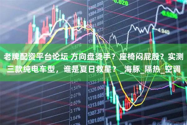 老牌配资平台论坛 方向盘烫手？座椅闷屁股？实测三款纯电车型，谁是夏日救星？_海豚_隔热_空调